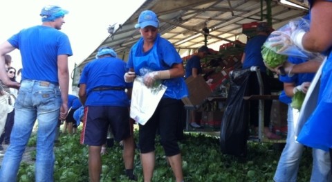 Експерт закликає роботодавців краще піклуватися про працівників з України