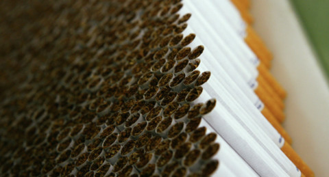 Польські митники та група українців постануть перед судом за контрабанду цигарок і хабарництво