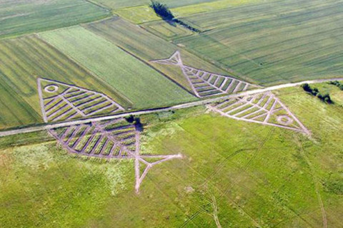 Риби – як символ прозорості кордонів між країнами