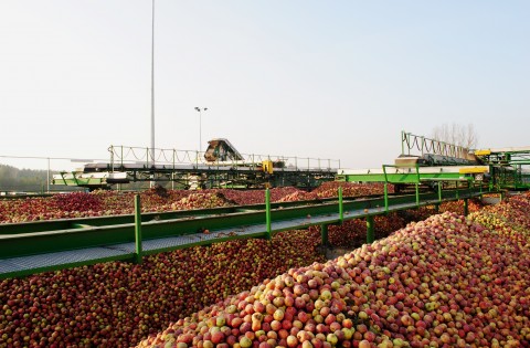 Один з найбільших виробників українських соків збудує в Польщі два заводи