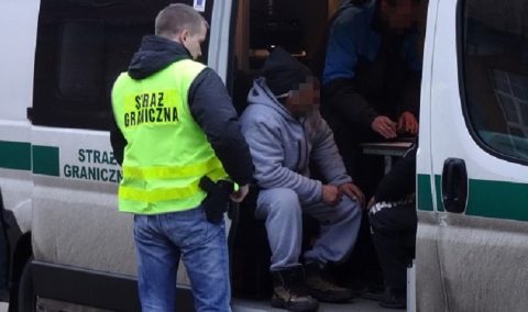 Польські прикордонники виявили 313 українців, які нелегально працювали в Ольштині