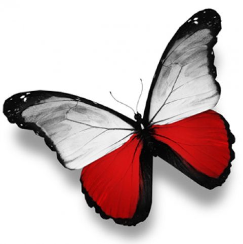 КУРСЫ ПОЛЬСКОГО ЯЗЫКА