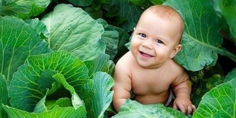 Польща та Україна опинилися в центрі європейської демографічної кризи