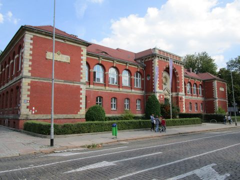 Щецінський університет проведе практичний курс для українців