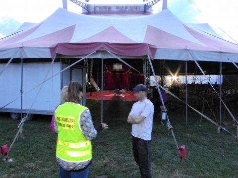 Пересувний цирк на Підкарпатті нелегально працевлаштував українців