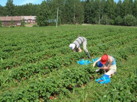 Новий тип угод, довший термін дозволу та нюанси оподаткування — головні зміни до Закону, що вже на столі в Президента