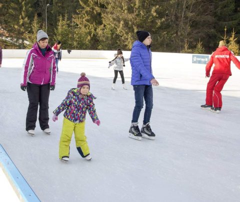 Льодова арена