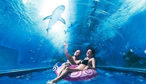 Aquapark Reda czeka na ciebie !