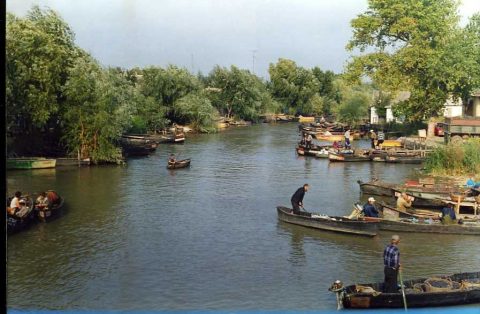 Українська Венеція запрошує на гастрономічні фестини: рекордна юшка та жаб’ячі лапки (Відео)