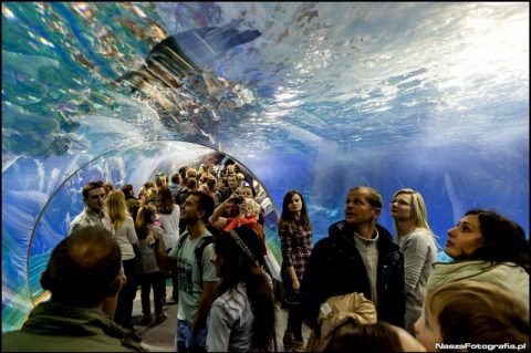 Вроцлавський Африкаріум