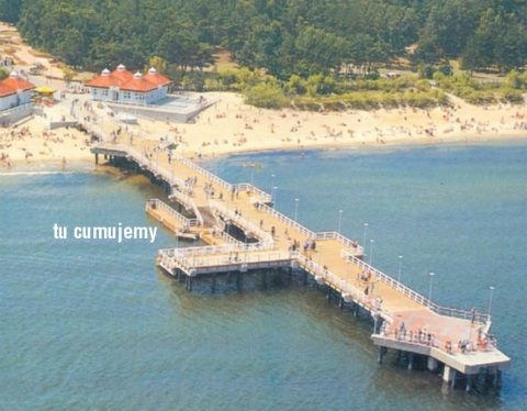 Список міст де “проявили” себе українці розширюється. Цього разу Гданськ