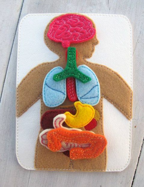 Захоплююча анатомія для дітей