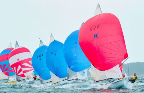 Чемпіонат світу 505 у Гдині!!!