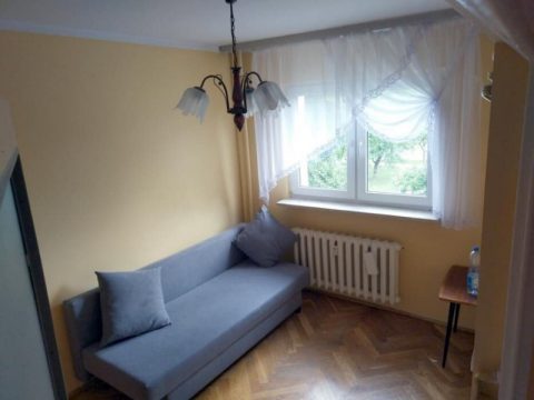 МЕГА ПРОПОЗИЦІЯ!