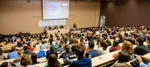 Не більше 10% українських студентів у Польщі планують повернутися в Україну