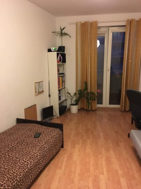 Шукаємо дівчину на підселення