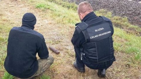 Незвиклу «контрабанду» виявили в імпортованій з України залізній руді