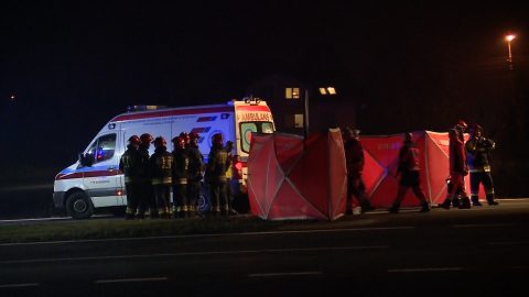 Українка загинула на пішохідному переході. Легковик на швидкості зніс трьох жінок