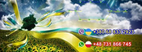 Регулярні міжнародні рейси.