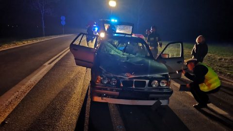 Троє молодих українців загинули внаслідок наїзду легковика. Ще двом неймовірно пощастило