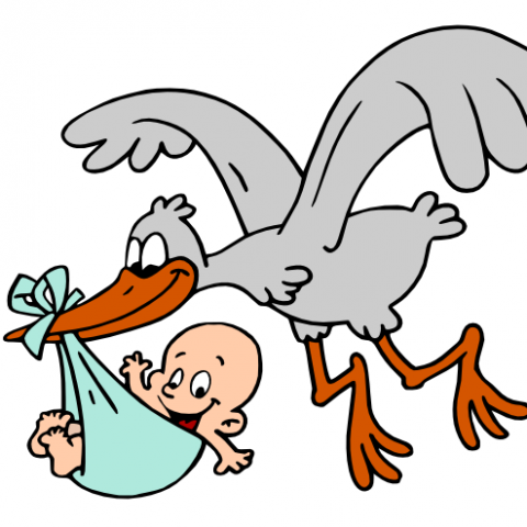 Чи можуть депортувати новонародженого в Польщі громадянина України та інші нормативні нюанси пов’язані з появою малюка…