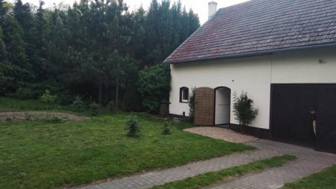 Корисне з приємним