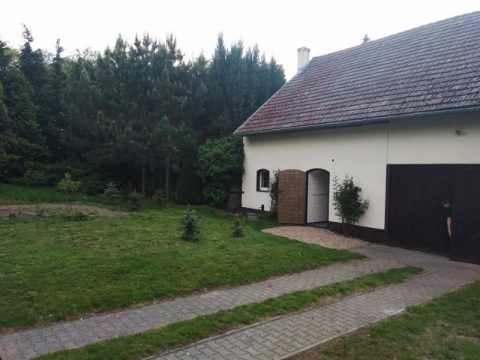 Корисне з приємним