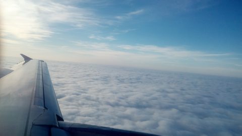 Wizz Air відновила польоти з Києва до Любліна