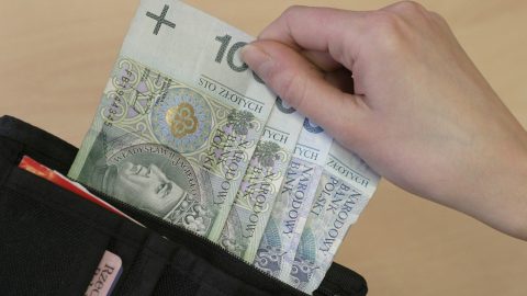 Рекордне зменшення українських грошей у Польщі