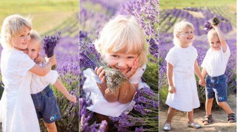 Лавандова фотосесія