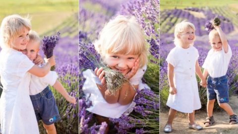 Лавандова фотосесія