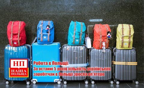 Робота в Польщі: За останні 5 років кількість українських заробітчан в Польщі зросла вп’ятеро