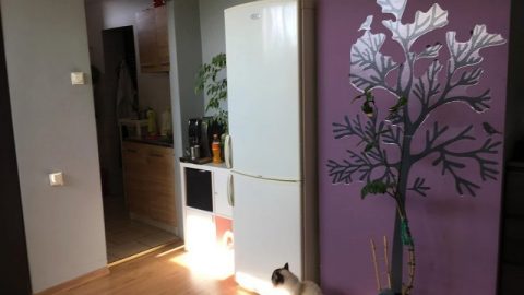 MIESZKANIE DO WYNAJĘCIA! Dostępne od września! 1400 zł + opłaty za media (gaz i prąd) 1400 zł