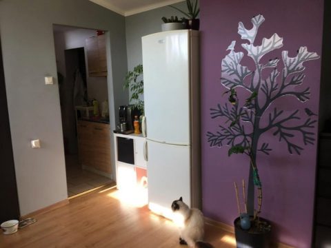 MIESZKANIE DO WYNAJĘCIA! Dostępne od września! 1400 zł + opłaty za media (gaz i prąd) 1400 zł