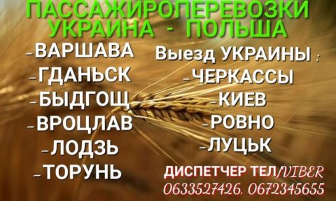 Пассажироперевозки