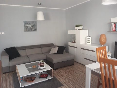 Mieszkanie 2 pokojowe . Wolne od października!