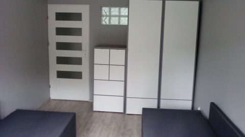 Pokój 2-osobowy (Winogrady) do wynajęcia, 450 zł.