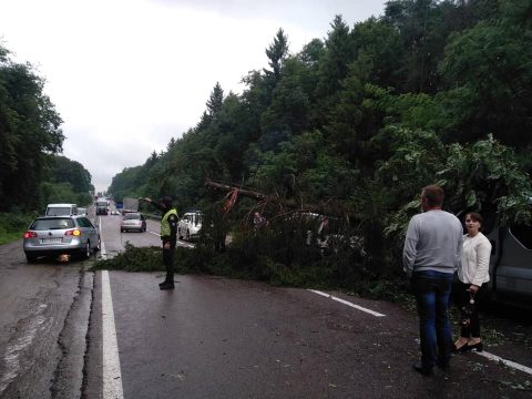 У черзі до пункту пропуску в Шегинях на автомобілі попадали дерева (Відео)