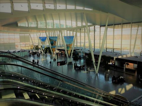 „Може маю бомбу в багажу”