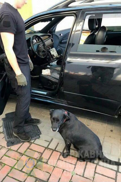 Українець спробував привезти з Польщі “презент” – пів кілограма кокаїну