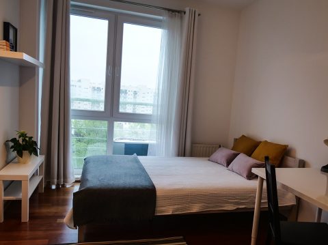 Klimatyzowane 3 pokojowe mieszkanie na wynajem.