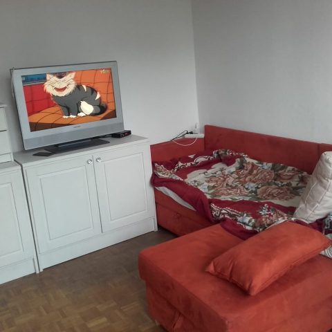 Место в комнате на двоих.Вроцлав