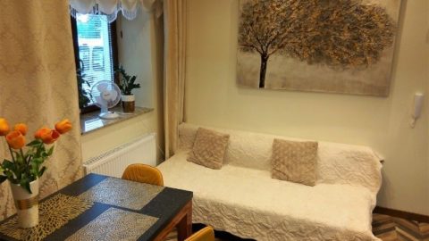 С 1 января 1-комн квартира 35 м2 на Dębnikach