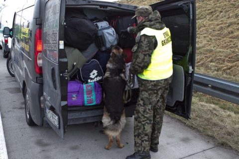 Побільшало продуктів заборонених провозити в Польщу: тепер ще й рослинного походження