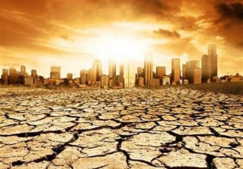 Польщі загрожує посуха