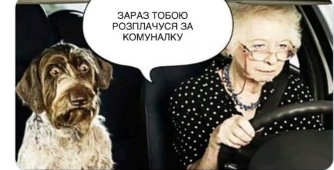 Збирайся, Сірко, з облгазу прийшли: соцмережі відреагували на заяву нардепа (Відео)