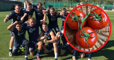 Сезонних працівників з України та Польщі замінять футболісти? Норвезький фермер запросив на поле улюблену команду