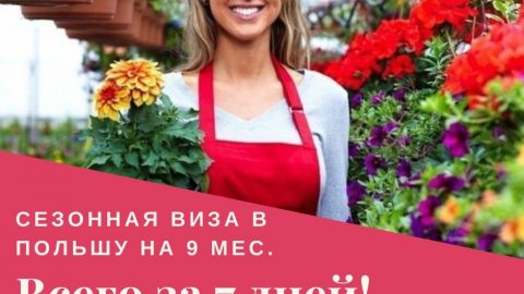 Приглашение для сезонной визы на 9 мес. за 7 дней