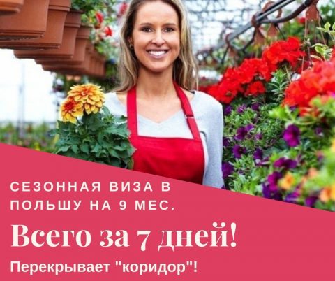 Приглашение для сезонной визы на 9 мес. за 7 дней