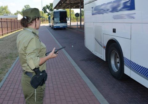 Заробітчан возитимуть не лише літаками: уряд обговорює відновлення організованих автоперевезень